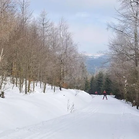 Mrs Monika Rasehorn Casa de Férias *