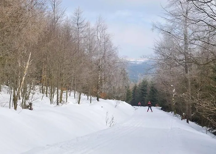 Mrs Monika Rasehorn Дом отдыха *