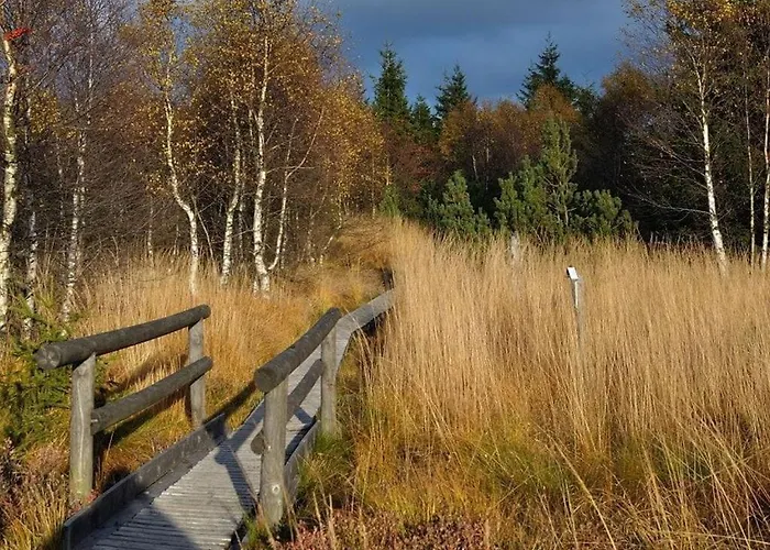 Mrs Monika Rasehorn Дом отдыха *